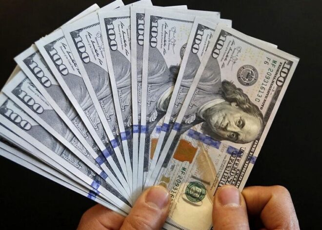 12میلیارد دلار واردات نهاده در یک سال؛ ریشه فشار ارزی در کجای کشاورزی است؟